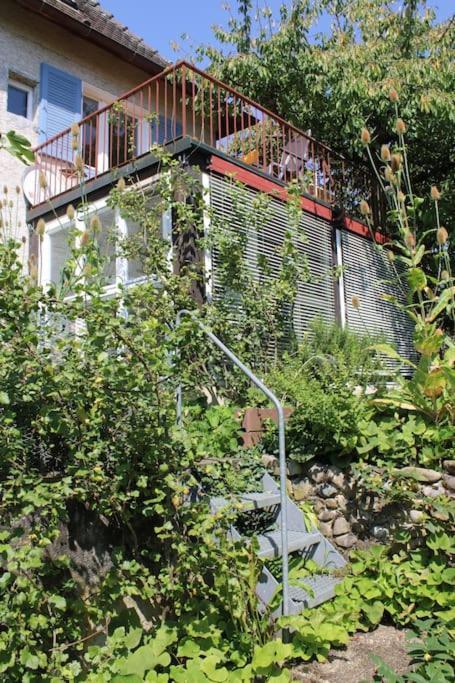 Erholung Mit Seesicht, Terrasse Und Garten Иберлинген Экстерьер фото