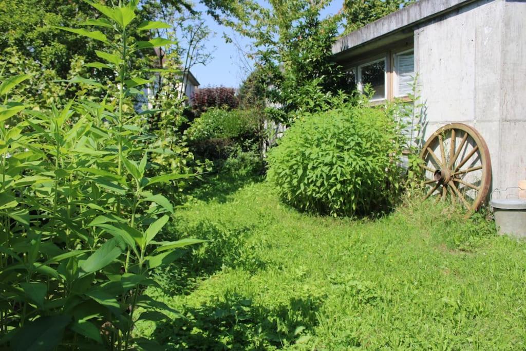 Erholung Mit Seesicht, Terrasse Und Garten Иберлинген Экстерьер фото